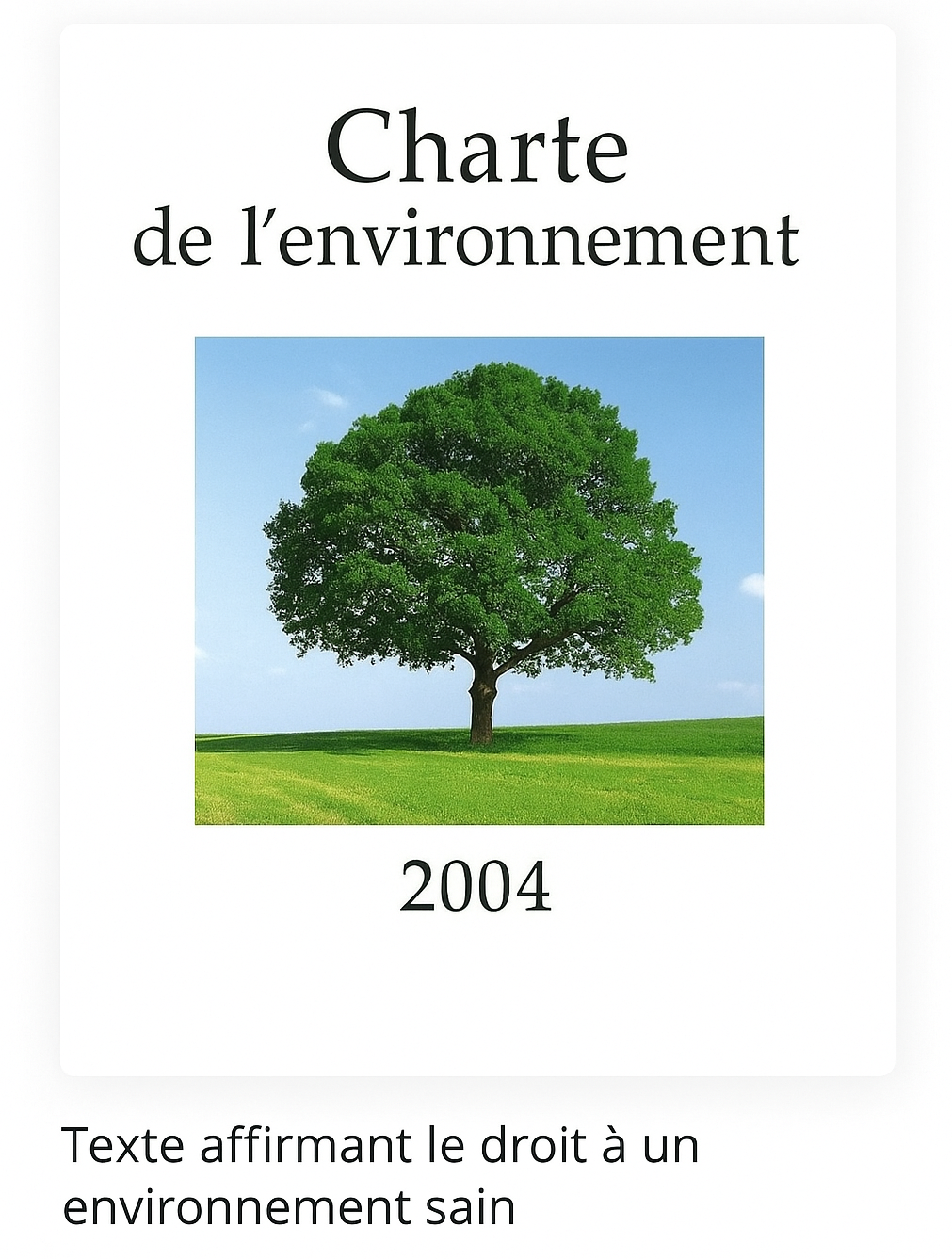 Charte environnement 2004